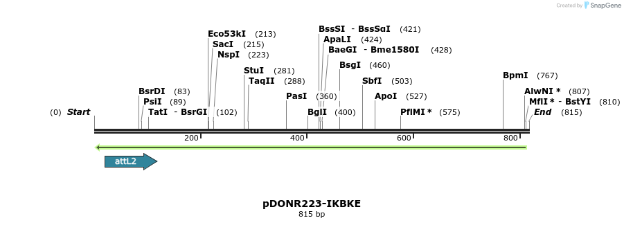 47059_map