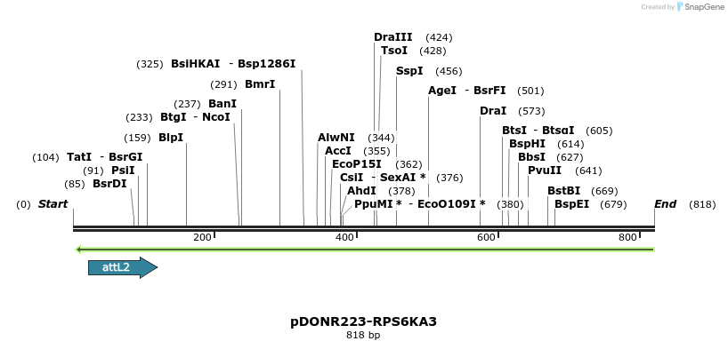 47061_map