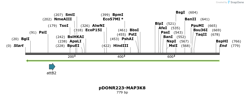 47062_map