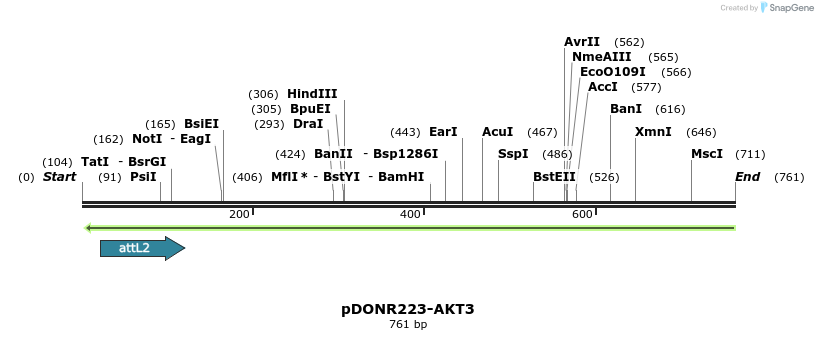 47063_map