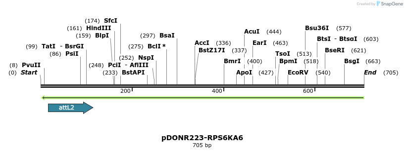 47064_map