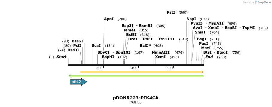 47065_map
