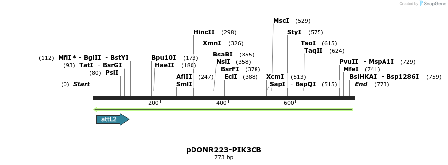 47066_map