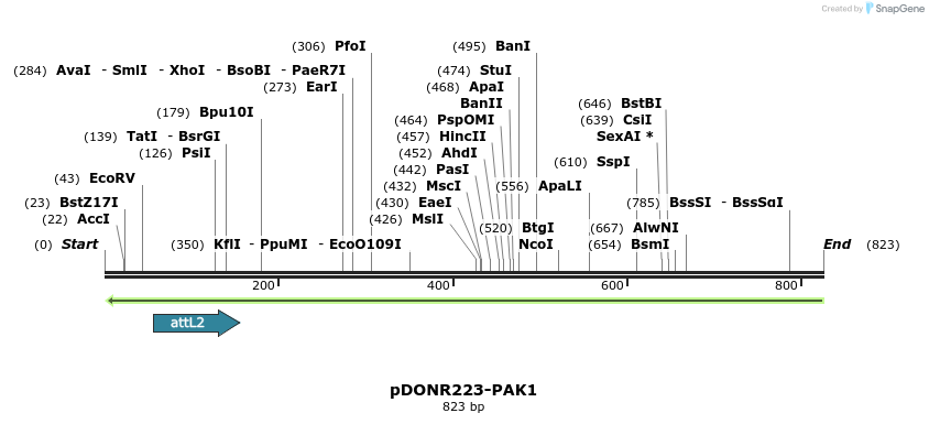 47067_map
