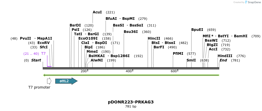 47069_map