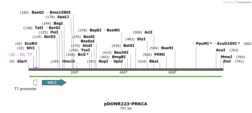 47070_map