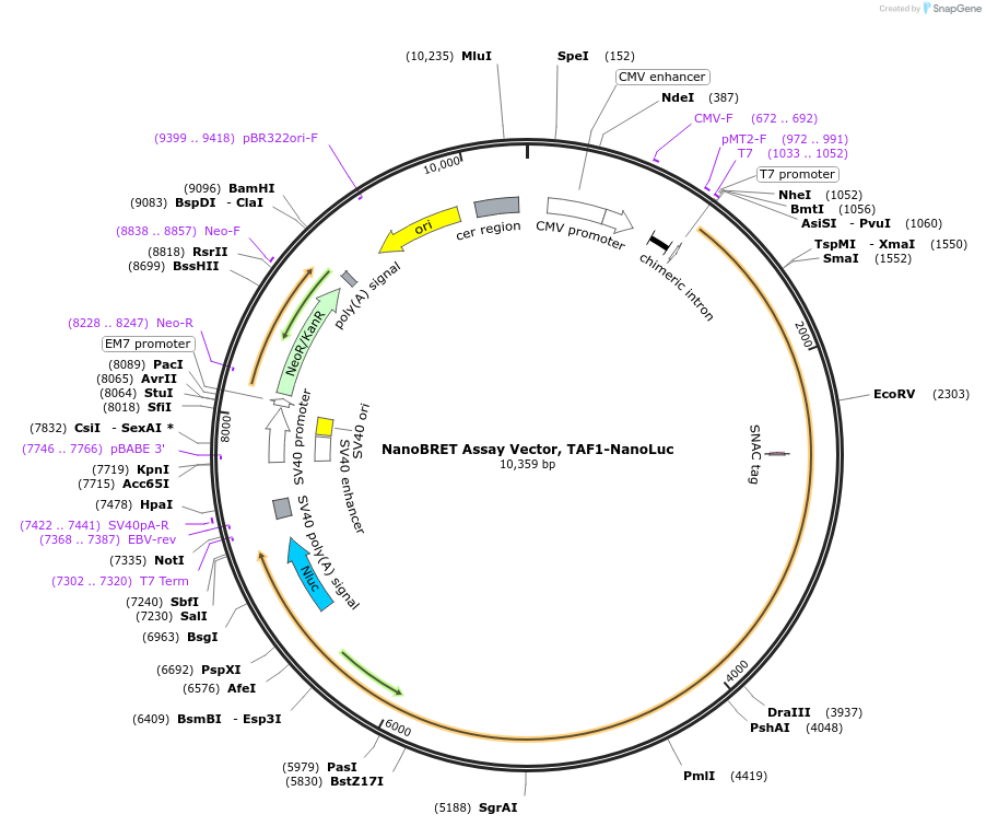 470732_map
