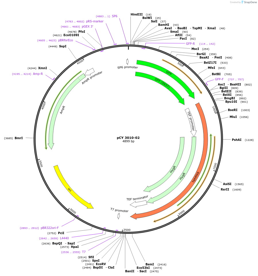 47080_map