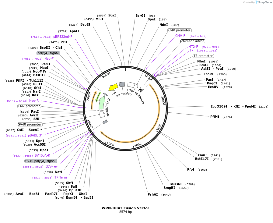 470996_map