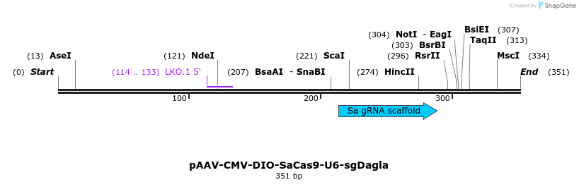 471019_map