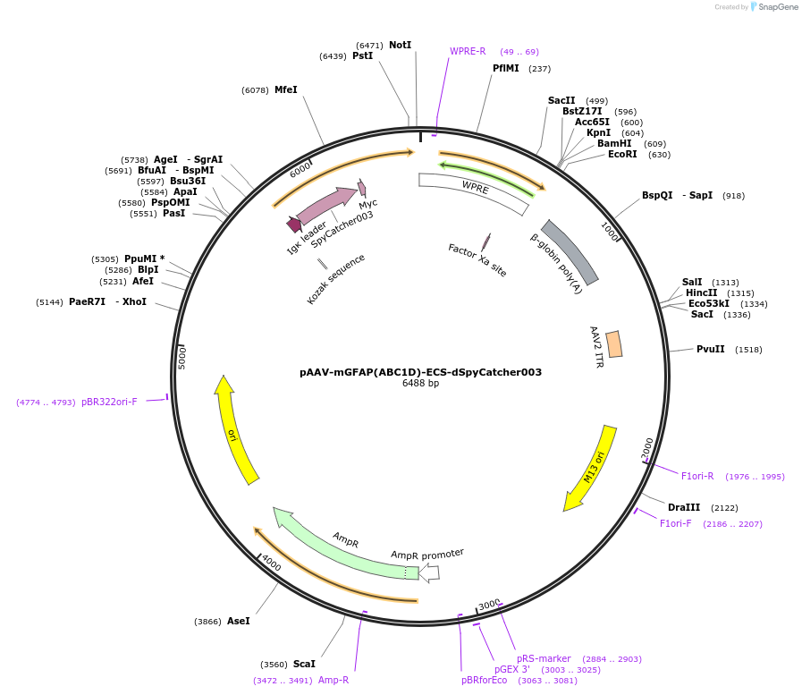 471025_map