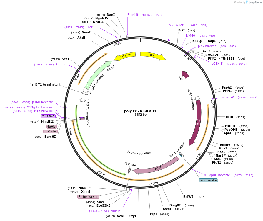 471040_map