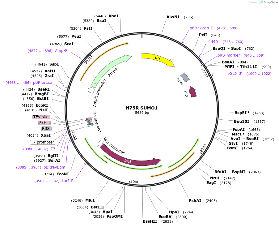 471041_map