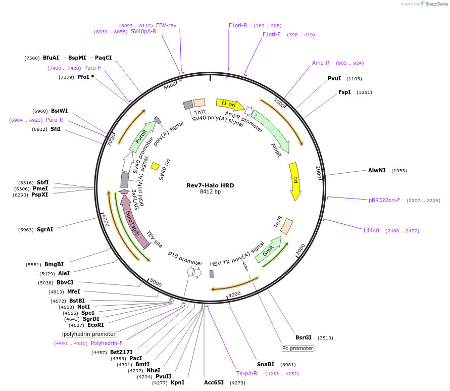 471050_map