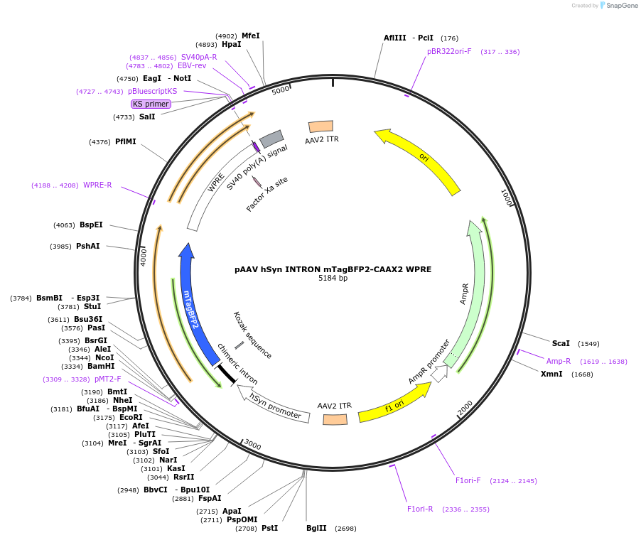 471212_map