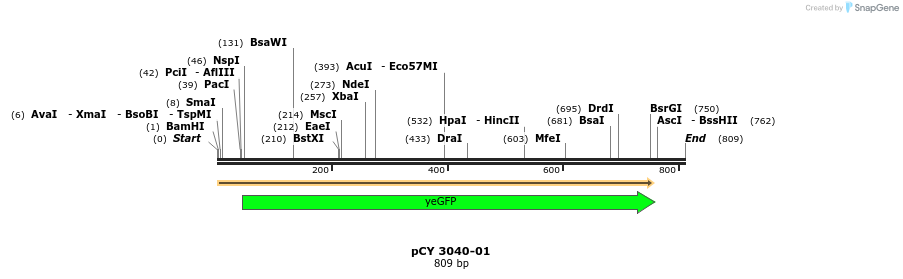 47125_map