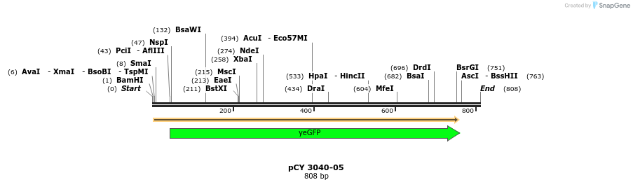 47128_map