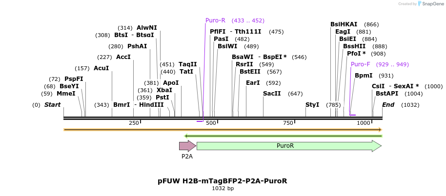 471314_map