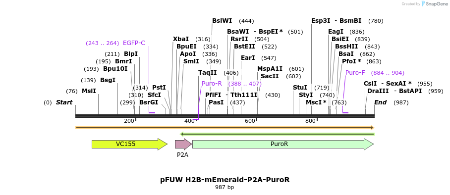 471316_map