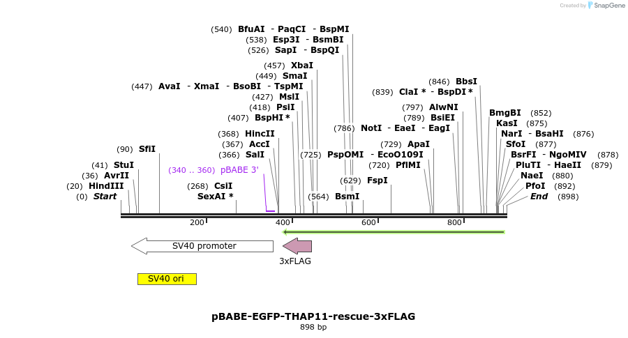 47132_map