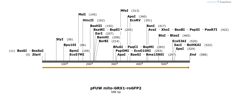 471323_map
