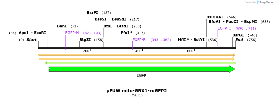471324_map
