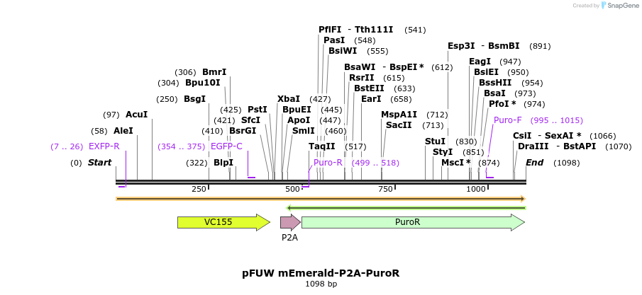 471331_map