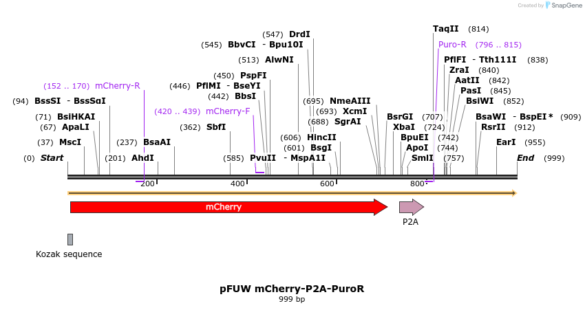 471332_map