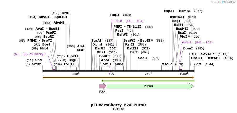 471333_map