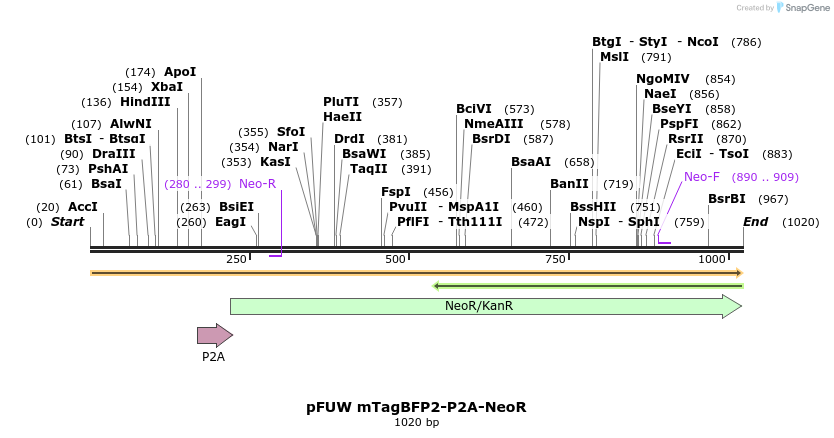 471335_map