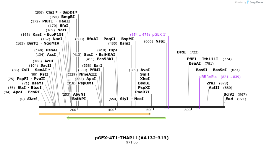 47134_map