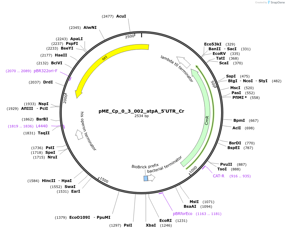 471439_map