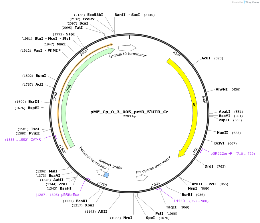 471440_map