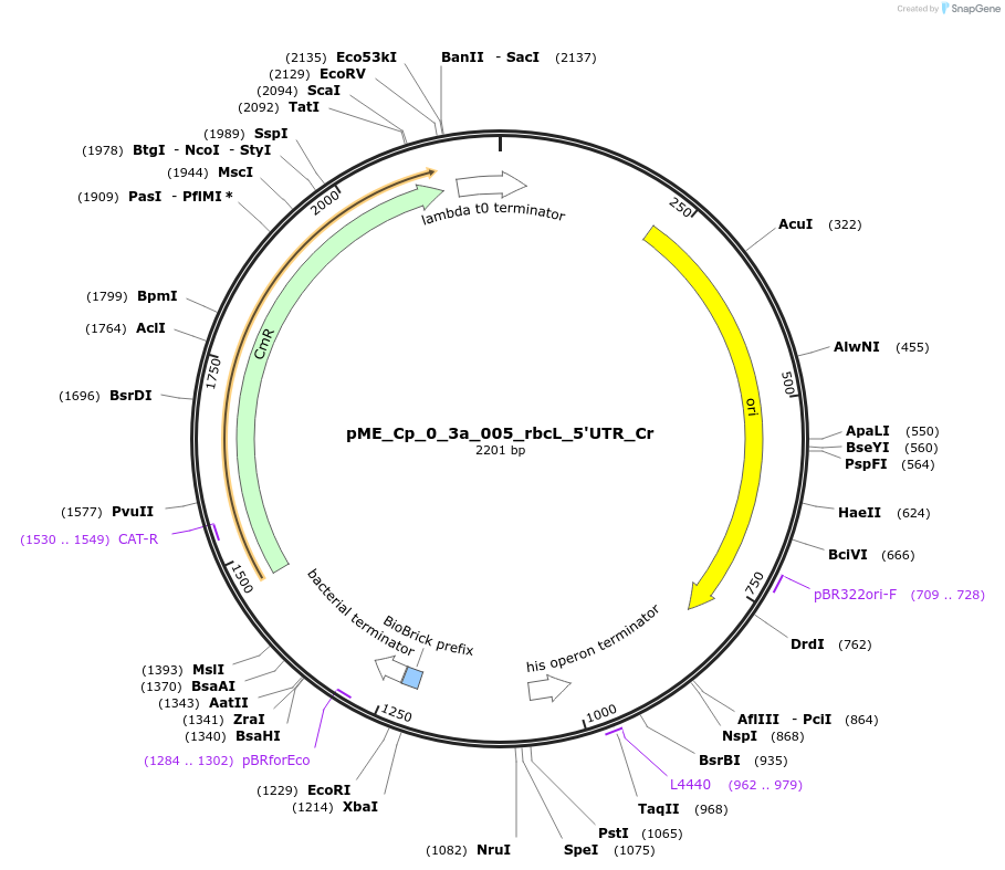471459_map