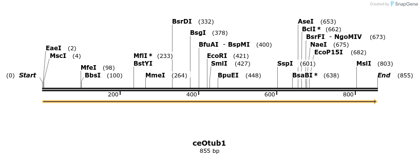 47146_map