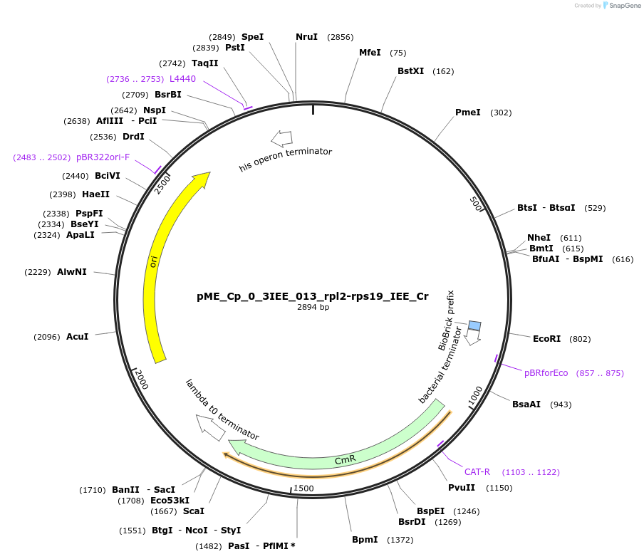 471463_map