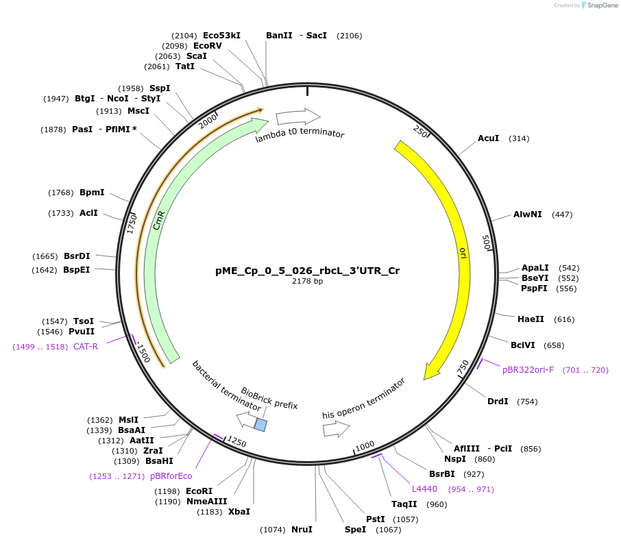 471497_map