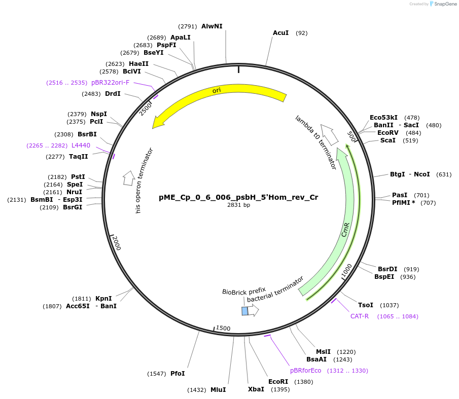 471512_map