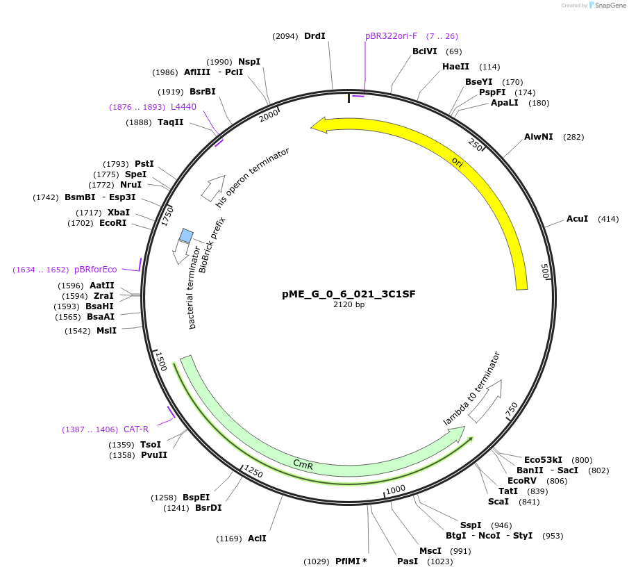 471517_map