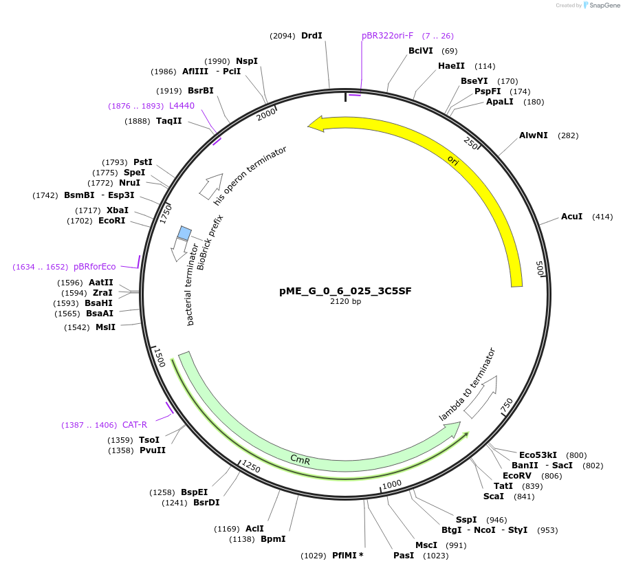 471521_map