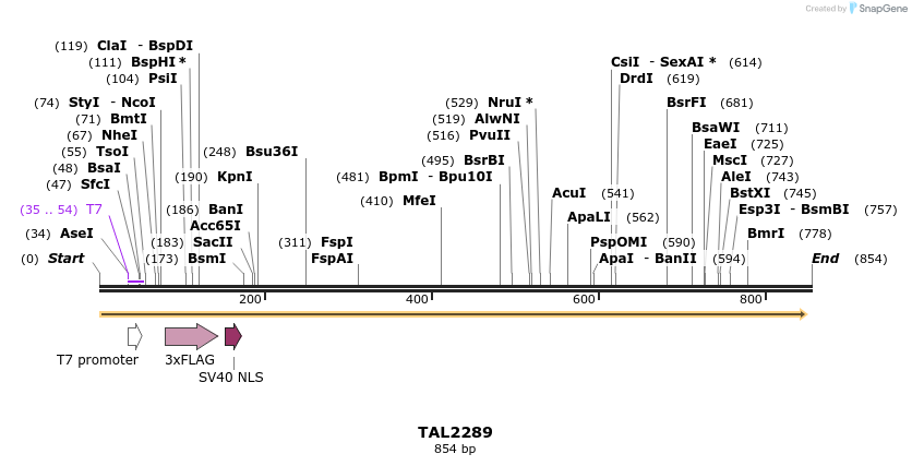 47156_map