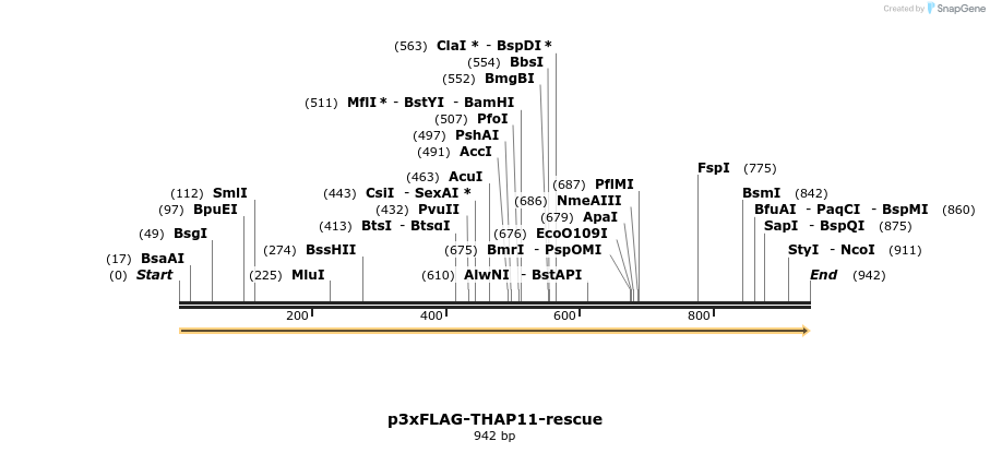 47161_map