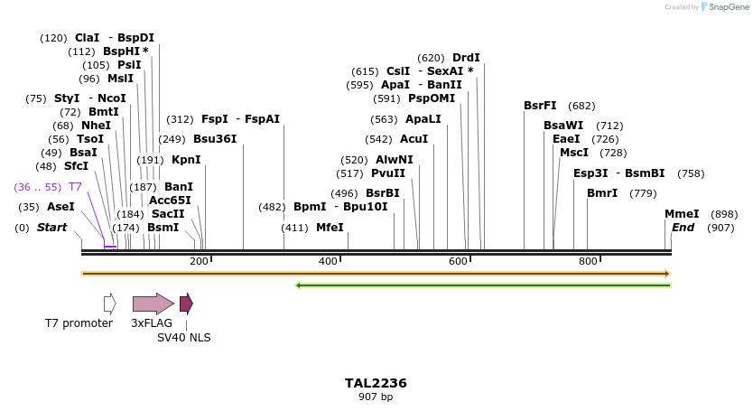 47168_map
