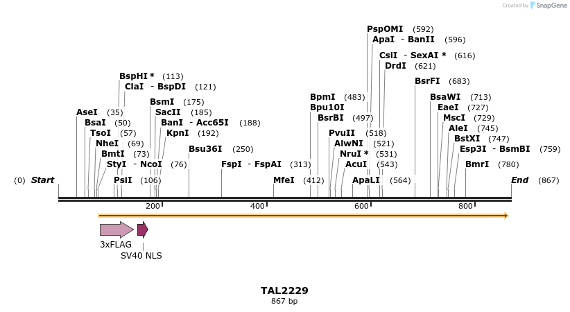 47169_map