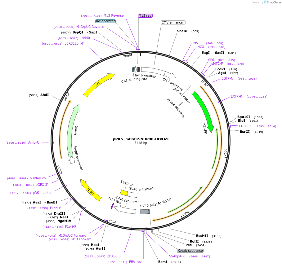 471707_map