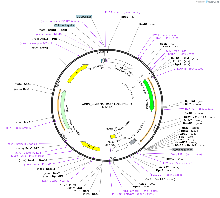 471709_map