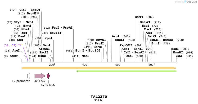 47172_map