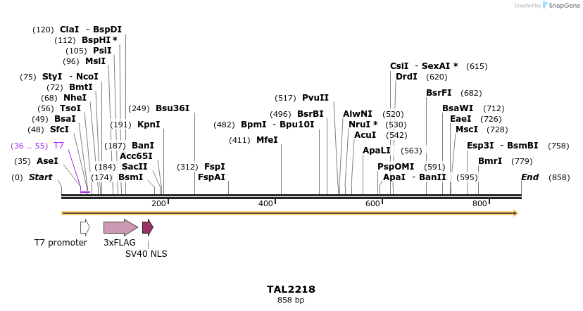 47174_map