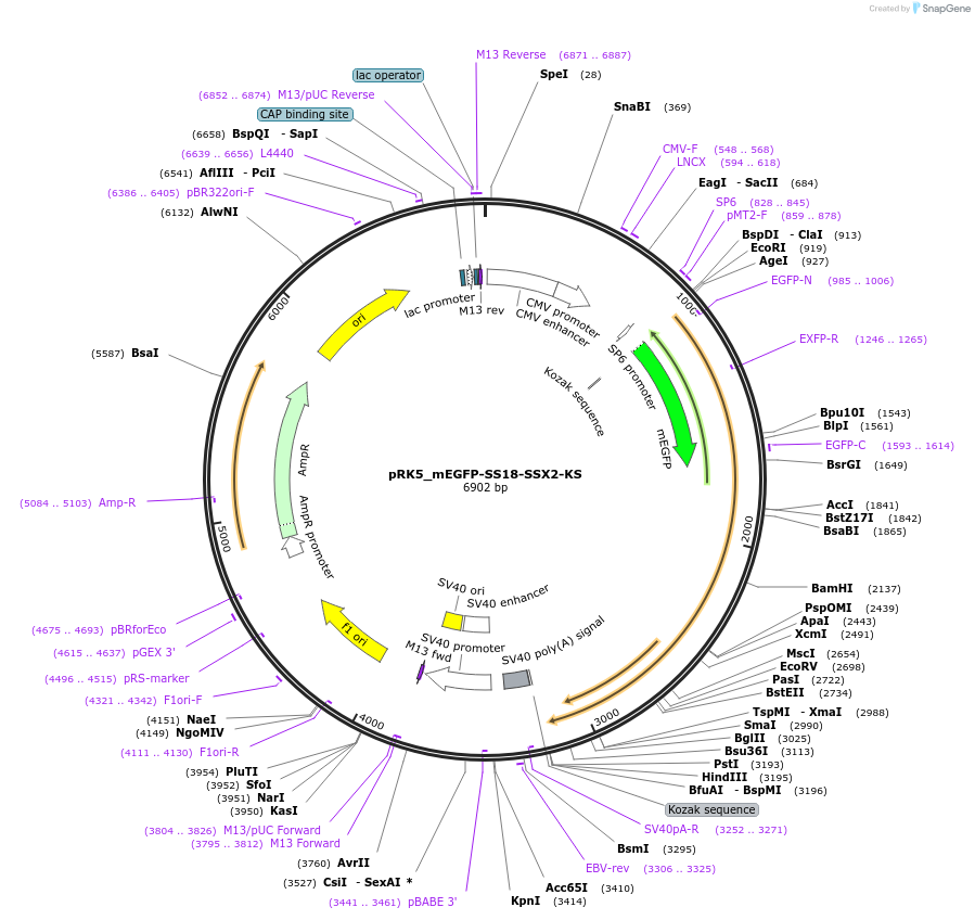 471774_map