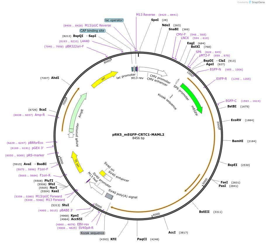 471805_map